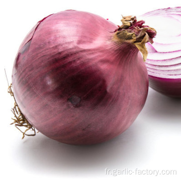 Légumes oignons frais de qualité nouvelle récolte pour la vente en gros